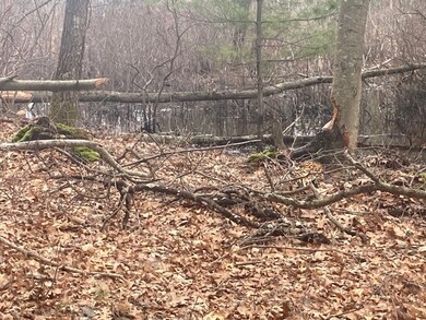 66 Thurlow St, Georgetown, MA 01833 - photo 3