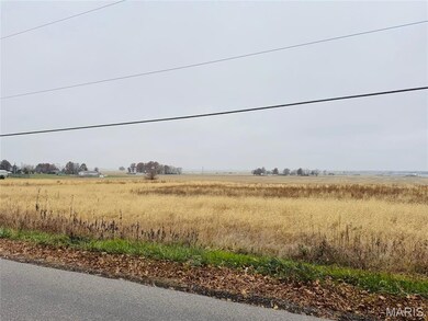 LAKEWOOD DR, Lake Wood Dr, Vandalia, IL 62471 - photo 4