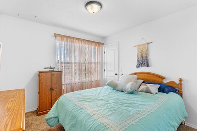 FrameandFocus_Picardy-8