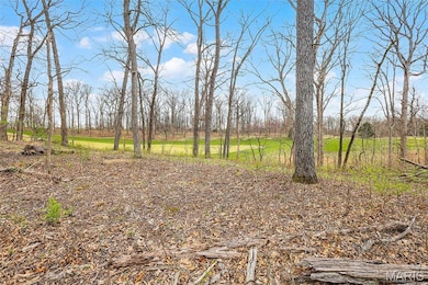 118 Summer Grace Ln, Weldon Spring, MO 63304 - photo 2