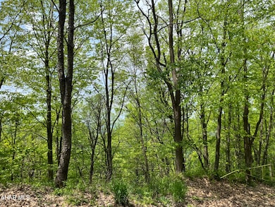 00 Ridge Run Rd unit Lot 227, Claysburg, PA 16625 - photo 3