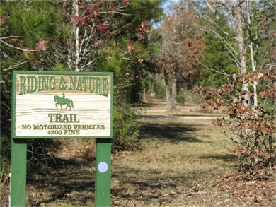 29212 Village Oaks Ct, Magnolia, TX 77355 - photo 4