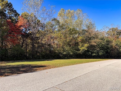 1 Manderly Place Dr, O Fallon, MO 63366 - photo 6