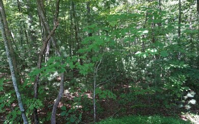 Additional View