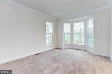 23105 Mistflower Dr, Clarksburg, MD 20871 - photo 4