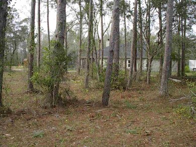 unlisted-address, Saint Augustine, FL 32092 - photo 6