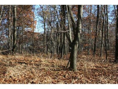 View. FALL SEASON PHOTO IN THE INTERIOR AREA.