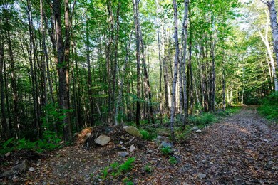 478 E Lake Rd, Ludlow, VT 05149 - photo 3