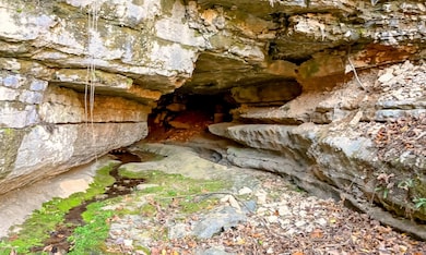 1-warnerrd_spring_cave-4