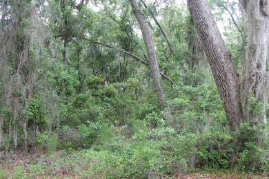 139 Burns Landing, St. Simons Island, GA 31522 - photo 6