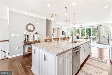 25043 Cambridge Hill Terrace, Chantilly, VA 20152 - photo 3