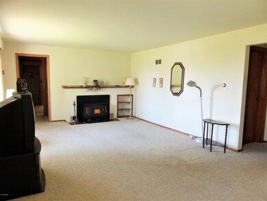 Wood Insert Fireplace