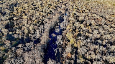 1215 Dennis Slaughter Rd, Pollock, LA 71467 - photo 5