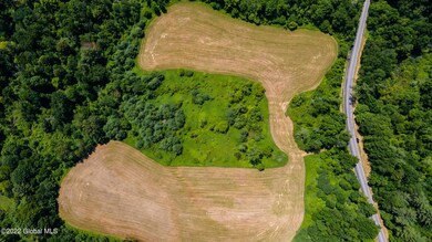 32 Palmer Terrace, Wilton, NY 12831 - photo 6