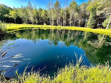 595 Hurd and Parks Rd, Swan Lake, NY 12783 - photo 5