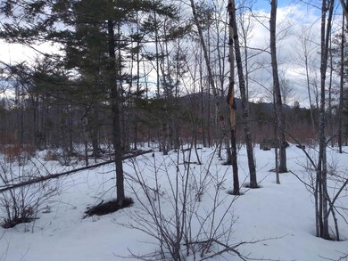Lot 89 Grandview Rd unit 89, Conway, NH 03818 - photo 6
