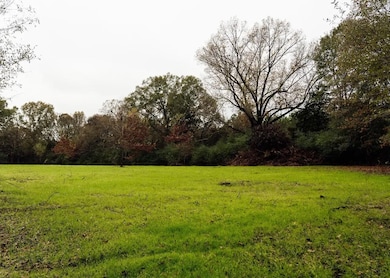 Black Jack Rd, Benton, MS 39039 - photo 2