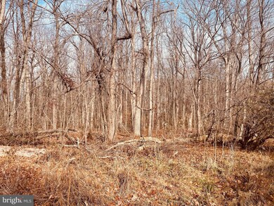 0 Kennon Rd unit VALA2004902, Mineral, VA 23117 - photo 7