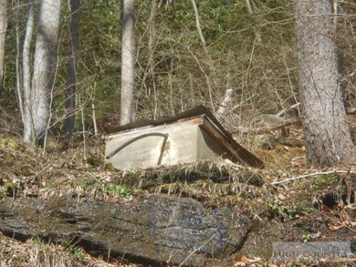 626 Stewart Simmons Rd, Deep Gap, NC 28618 - photo 6