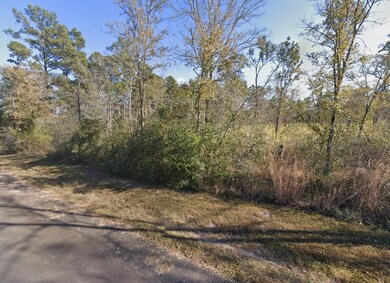 0 State Highway 19 unit 25564447, Huntsville, TX 77320 - photo 6