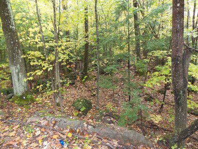 0 Flag Hole Rd, Franklin, NH 03235 - photo 4