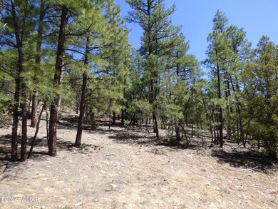 2401 S Hidden Ridge Trail (65)