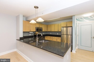 Potomac Place Tower unit N224, Washington, DC 20024 - photo 4