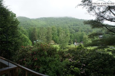 170 Trout Pond Ln unit 3, Banner Elk, NC 28604 - photo 2