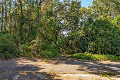 3019 Ion Ave, Sullivans Island, SC 29482 - photo 5