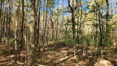 0 Wagner Rd unit 25650308, Dansville, NY 14437 - photo 5