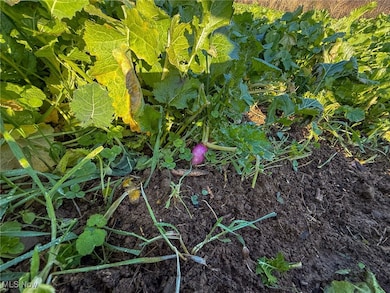 0 Homestead Dr unit 5174212, New Concord, OH 43762 - photo 2