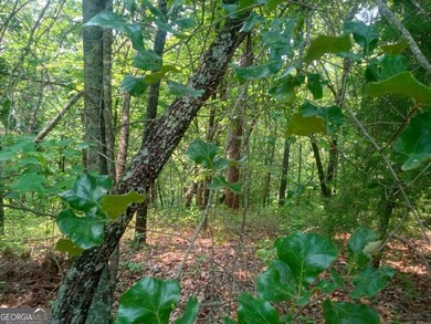 Lt 1227 Hilton Dr unit 1227, Ranger, GA 30734 - photo 4