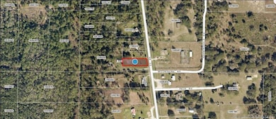 2515 Florida 33, Clermont, FL 34714 - photo 3