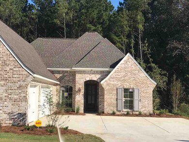 110 Brisco St, Madison, MS 39110 - photo 2