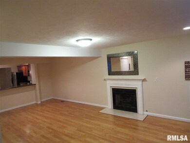 4509 N Thornhill Dr unit 102C, Peoria, IL 61615 - photo 7