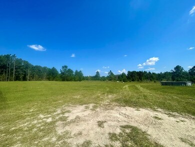 374 West Rd, Poulan, GA 31781 - photo 5