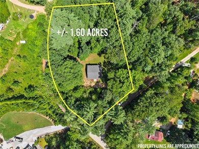 31 Pine Rd, Dahlonega, GA 30533 - photo 3