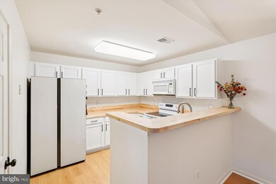 2155 Scotts Crossing Ct unit 303, Annapolis, MD 21401 - photo 6