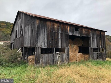 0 Red Berry Rd, Mathias, WV 26812 - photo 5