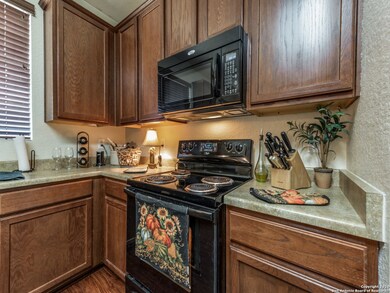 3910 Mahogany Cove, San Antonio, TX 78261 - photo 7