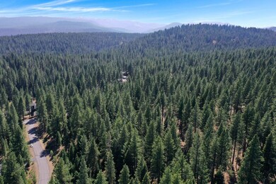 12062 Saddleback Dr, Truckee, CA 96161 - photo 5