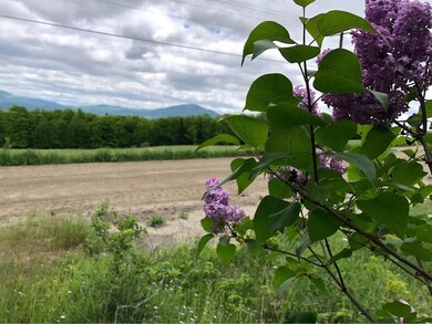 4251 Pudding Hill Rd, Sutton, VT 05867 - photo 3