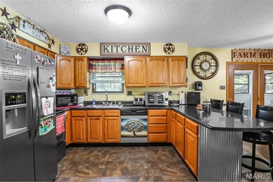 9756 Robyn Ct, Bonne Terre, MO 63628 - photo 6