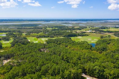 4117 Nesting Egret Dr, Johns Island, SC 29455 - photo 3