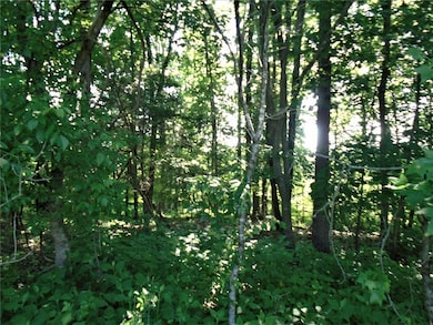 Lots 11 & 12 Cypress Acres Dr, Statesville, NC 28625 - photo 5