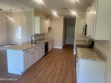 1762 Benton Dr, Hernando, MS 38651 - photo 4