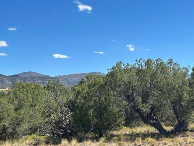 7 Old Rail Pass, La Madera, NM 87047 - photo 5