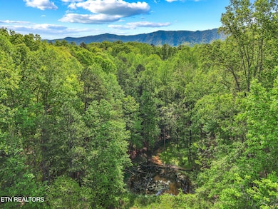 007-CountyLineRoad-TN-37725-SMALL