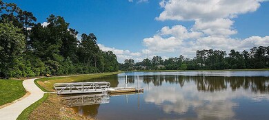 738 Platinum Stone Ln, Pinehurst, TX 77362 - photo 5