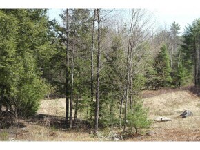 36 Astor Ln unit Lot 133AX, Bow, NH 03304 - photo 2